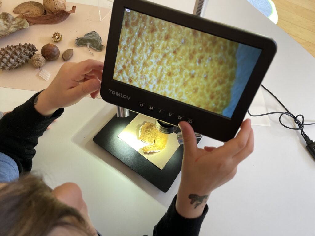 A child's hand exploring a specimen under a digital microscope