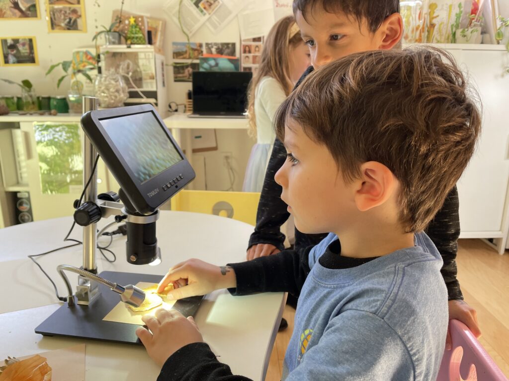 A preschooler studying a leaf on a digital microscope screen