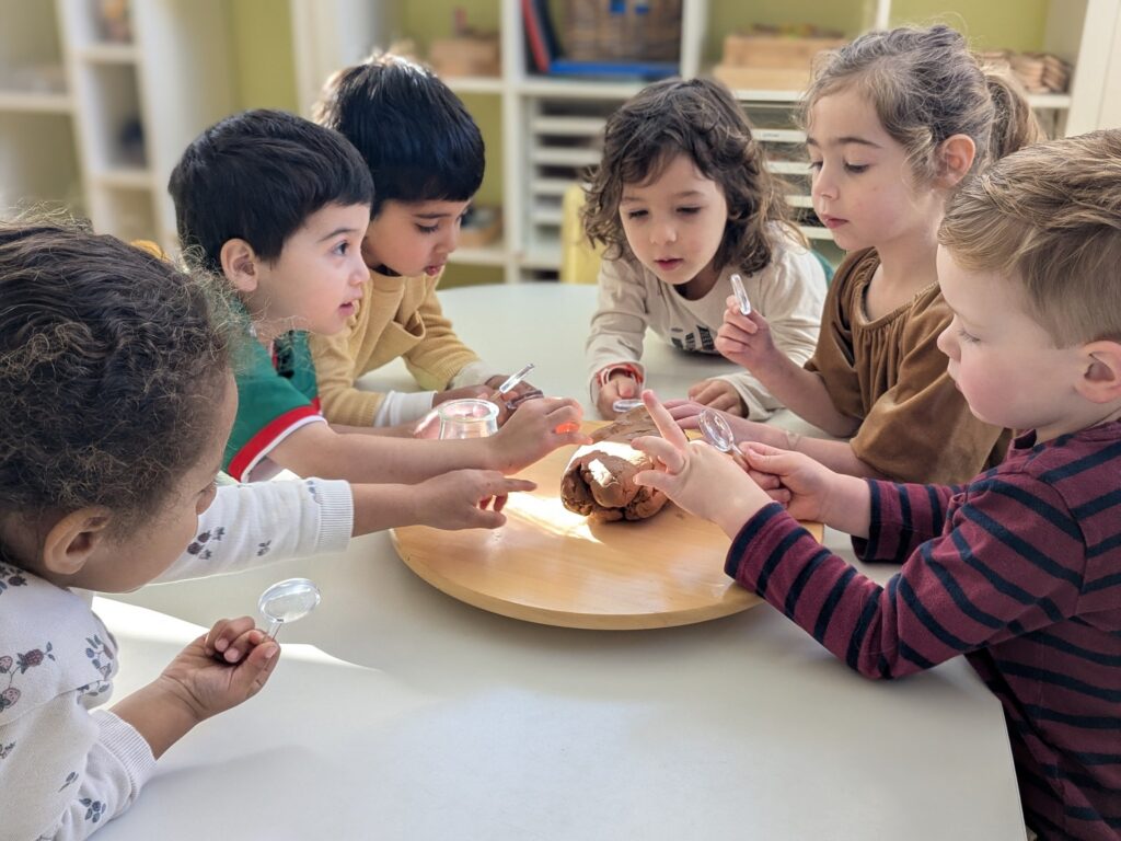 A group of preschoolers gathered around a table exploring natural materials
