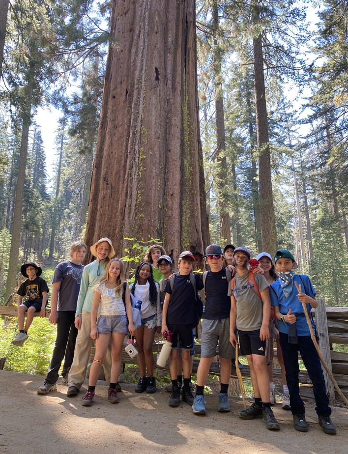 Students at the base of a giant sequoia on a camping trip