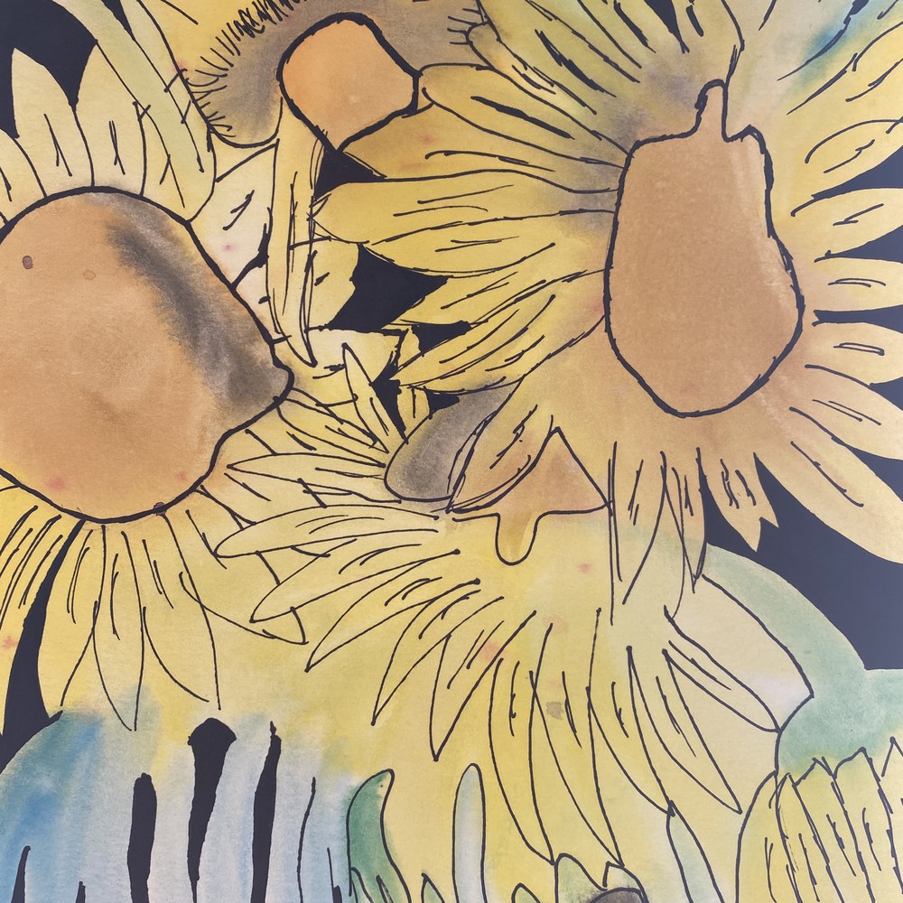 Student artwork: sunflowers drawn in ink and watercolour