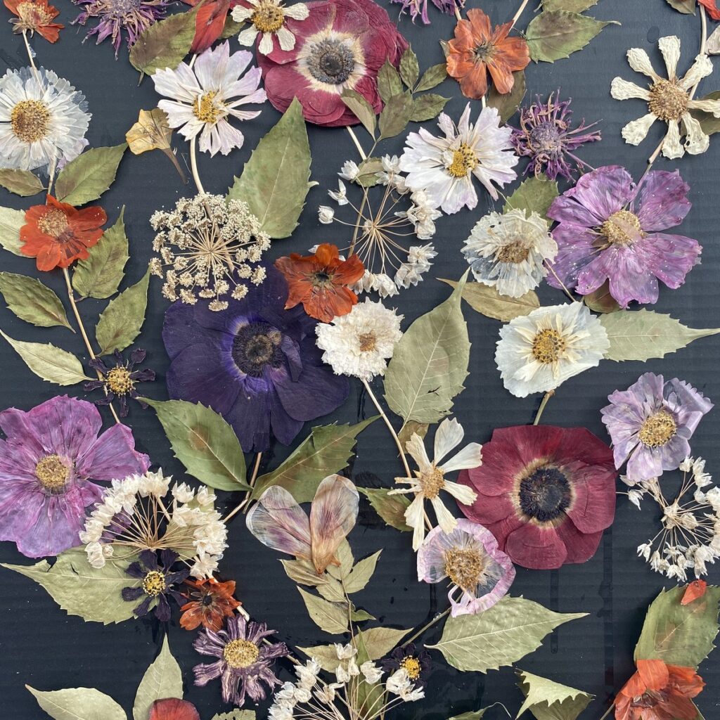 Pressed-flower collage made by a La Scuola student