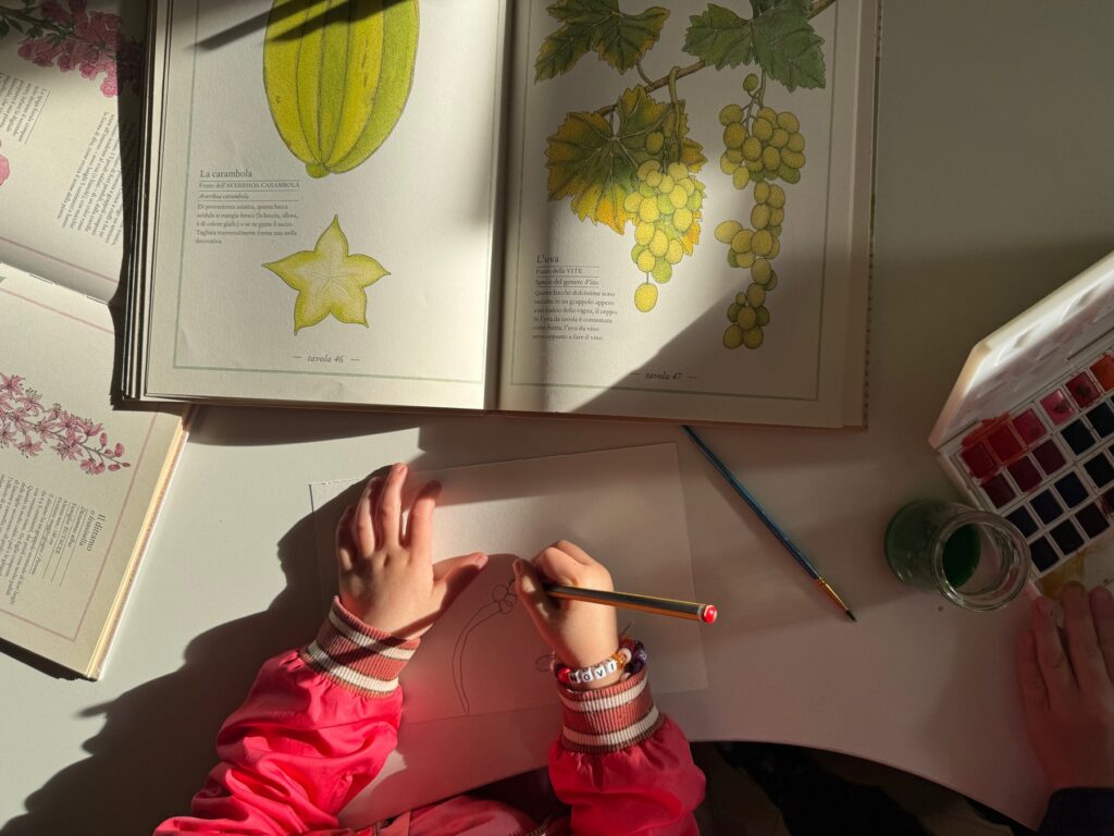 A child painting fruit from an illustrated botany book with watercolours